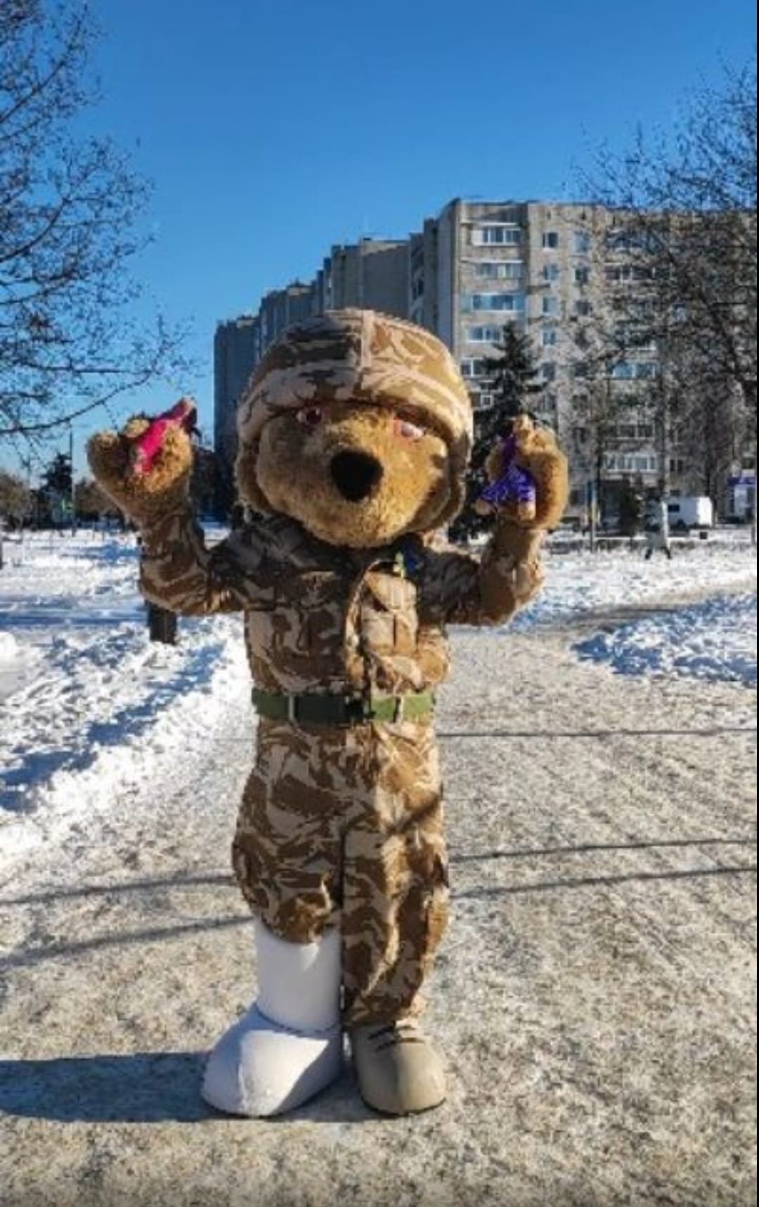 Bear mascot in Ukraine