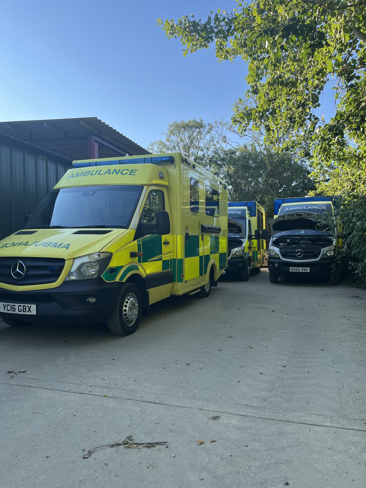 Ambulances and support vehicles parked under trees on the farm